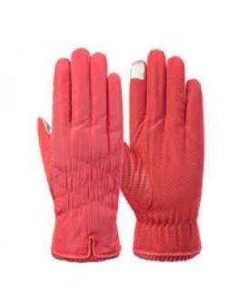 ski gloves no. WG1009