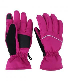 ski gloves no. WG1017