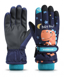 ski gloves no. CG1019