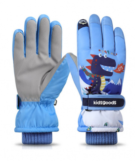 ski gloves no. CG1021