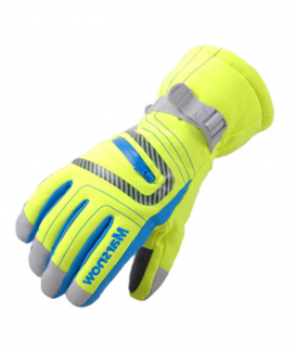 ski gloves no. CG1039