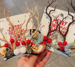 1761296047916646.png image.png